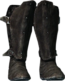 Oculatus boots