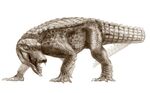 Araripesuchus