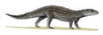 Comahuesuchus