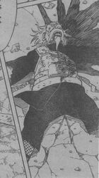 Onoki gravemente herido