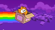 NyanPuffle