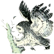 Owl Artwork 3 (Link's Awakening)