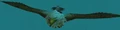 Loaned Gryphon.jpg