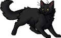 Cedarheart.apprentice.png