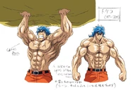 Toriko design