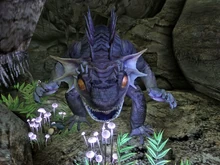 Legendary fire gecko