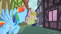 Rainbow Dash sees Mare Do Well running away S2E08