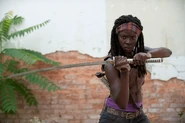 Michonne3A