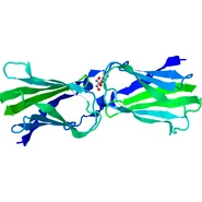 4G5Ab.pdb