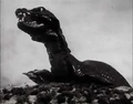Skarasen
