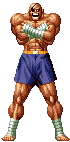 Sagat-snkwin