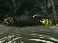 Swamplurks Bog