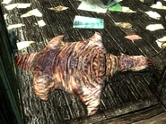 Mole rat rug