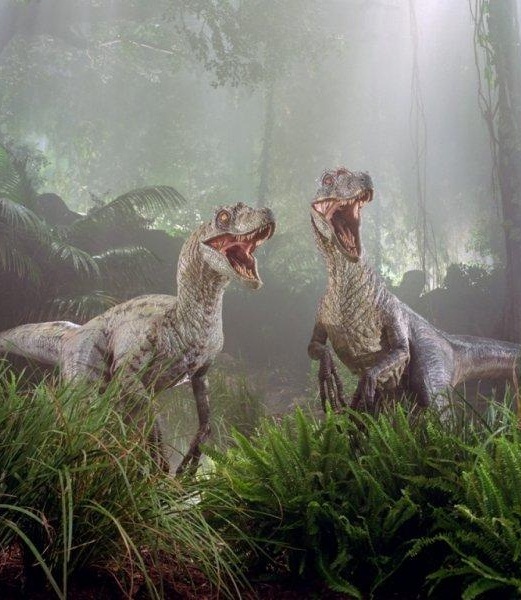 Velociraptor Movie Canon Park Pedia Jurassic Park Dinosaurs Stephen Spielberg