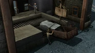 BlueMountainMystery118