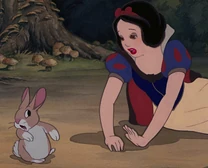 Blancanieves conejo