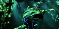 Kwazel Maw