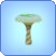 Spotlight Mushrooms