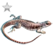 Item desertiguana silver 01