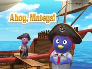 Ahoy, Mateys