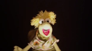 FraggleShot16d