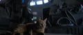 Jonesy sitting.png