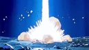 Dbz115-29