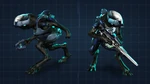 Jackle ranger