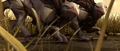 Mastif phalone pair.png