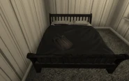 Sexy fight Bait