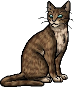 Owlclaw.warrior