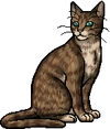 Owlclaw.warrior