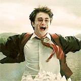 Happy harry