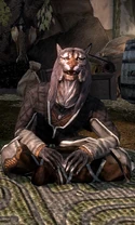 Risaad