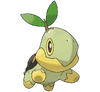 Turtwig