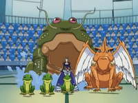 Frogs