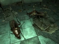 Radroaches BCB.jpg