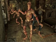 Ghouls Vault 34