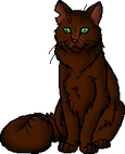 Pinestar.leader