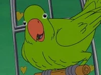 Helga's parrot, Bird