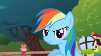 Rainbow Dash sounded like Pinkie Pie S2E10