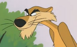 LouiePuma