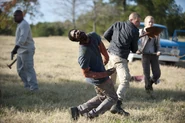 Walking-dead-212-1101 9547