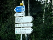 D16 (19) (2)