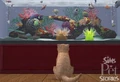 The Sims Pet Stories3