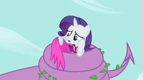 Rarity cape S2E10