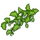 Ivy-icon