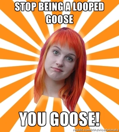 Goooseee