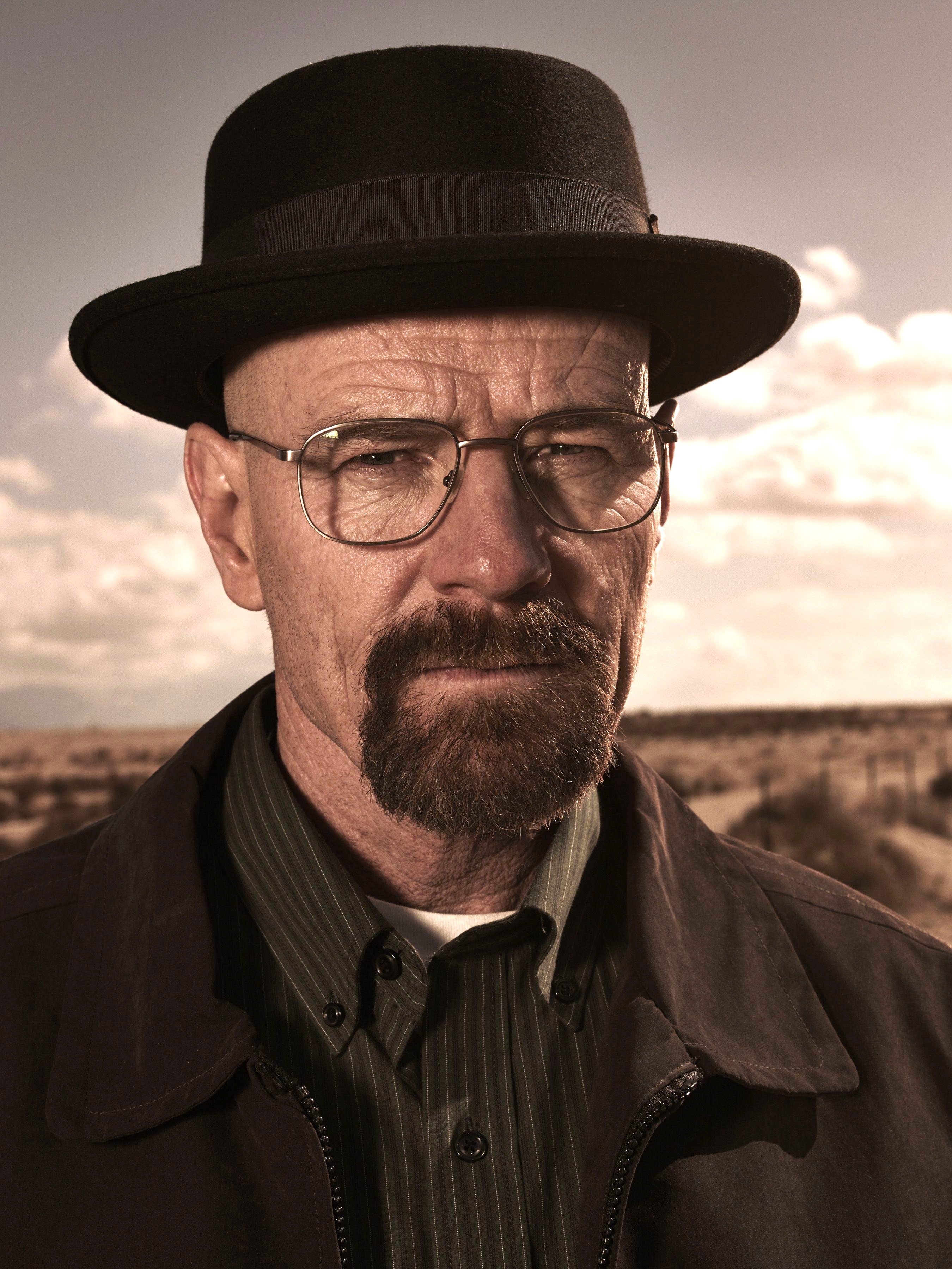 Breaking Bad Guy - UnAnything Wiki