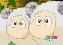 Sheep